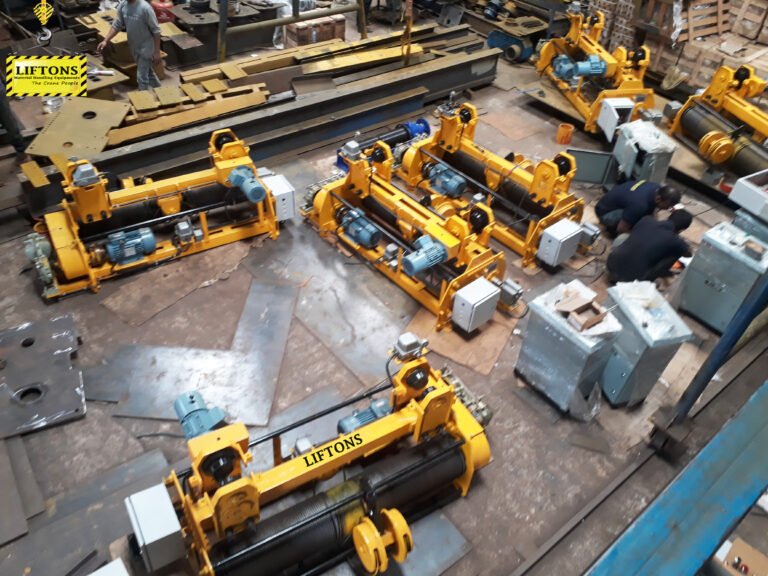 Hoist mass Assembly for JSW